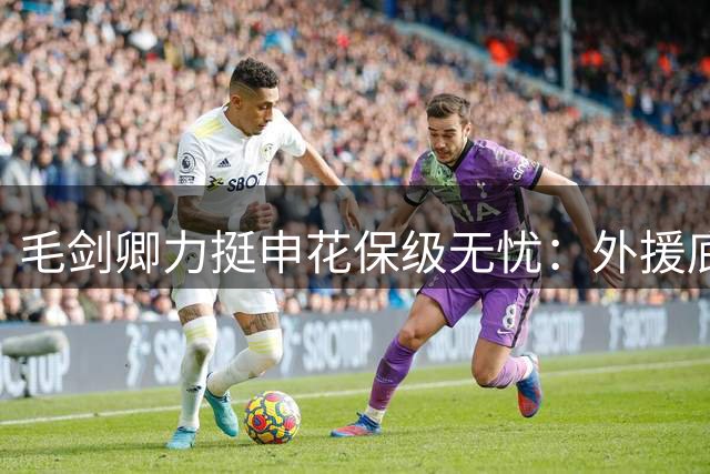 毛剑卿力挺申花保级无忧：外援底蕴仍在 战术调整空间大